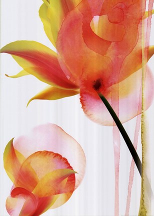 Framed Internal Rapture 2 Print