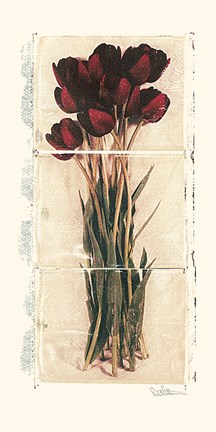 Framed Anniversary Print