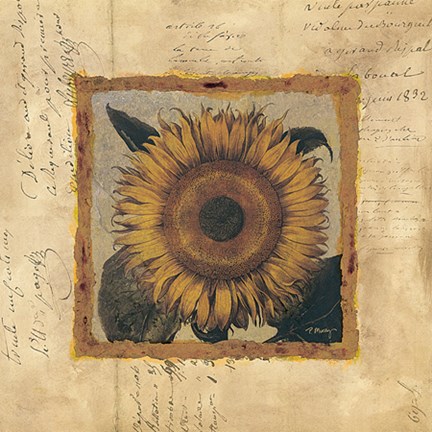 Framed Sunflower Fragment Print