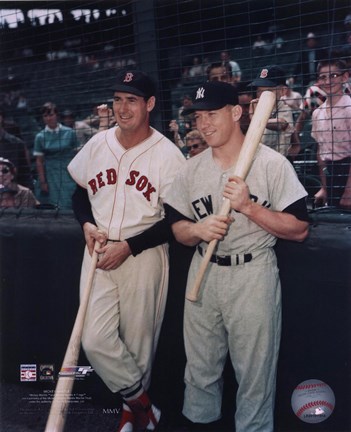 Framed Ted Williams / Mickey Mantle Print