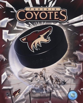 Framed Phoenix Coyotes 2005 - Logo / Puck Print
