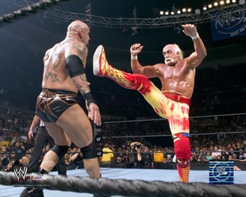 Framed Hulk Holgan - #259 Print