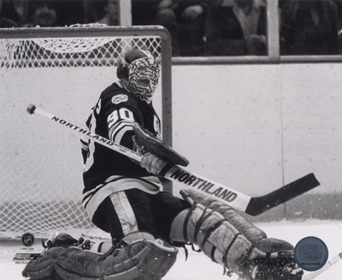 Framed Gerry Cheevers - Action Print