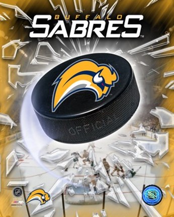 Framed &#39;06 / &#39;07 - Sabres Team Logo Print