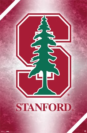 Framed Stanford - Logo Print
