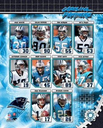 Framed 2006 - Panthers Team Composite Print