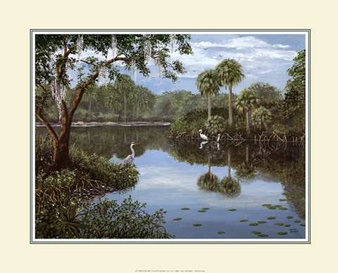 Framed Three Cranes Swamp Print