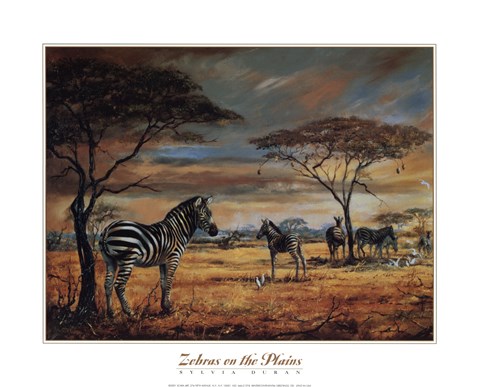 Framed Zebras On The Plains Print