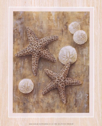 Framed Starfish Print