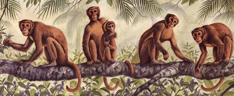 Framed Monkey Time II Print