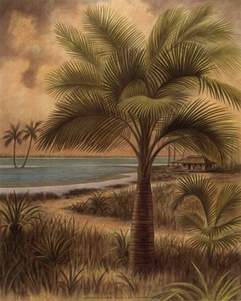 Framed Island Palm II Print