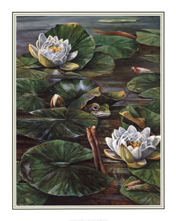 Framed Frog In Lily Pond Print