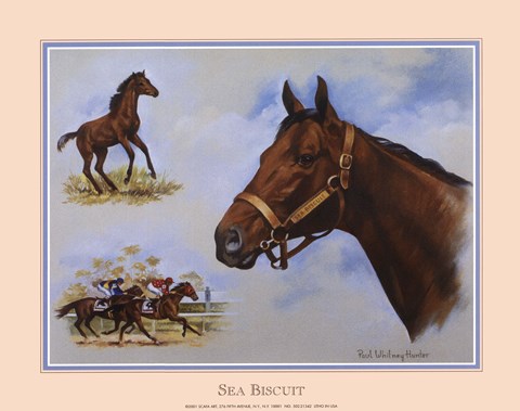 Framed Sea Biscuit Collage Print