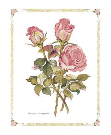 Framed Pink Roses Print