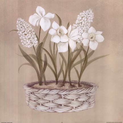 Framed White Flowers In Basket Print