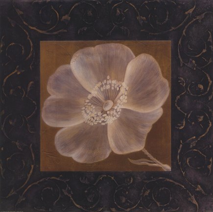 Framed Tan Flower - full bloom Print
