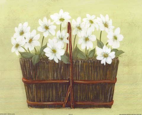 Framed White Flowers In Wicker Basket Print