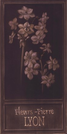 Framed Fleurs-Pierre Lyon Print