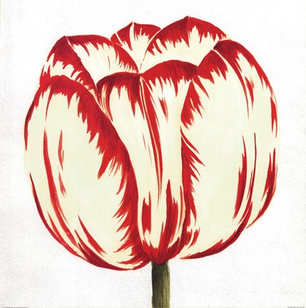 Framed Red White Tulip Print