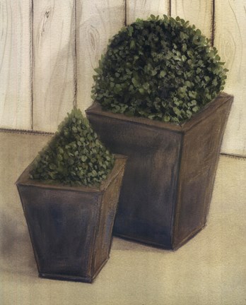 Framed Plants In Pots Print