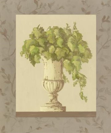 Framed Plant In Vase II Print