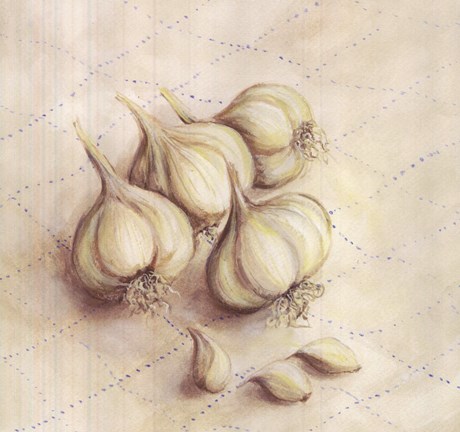 Framed Garlic - square Print