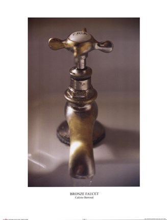 Framed Bronze Faucet Print