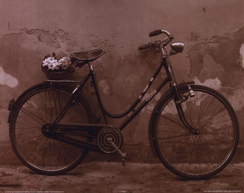 Framed Bicycle with Flowers Print