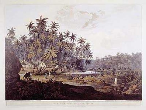 Framed View Near Point De Galle, Ceylon Print
