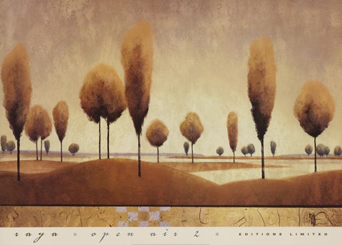 Framed Open Air II Print