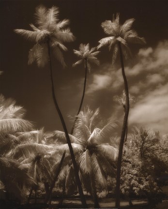 Framed Place Of Refuge I Print