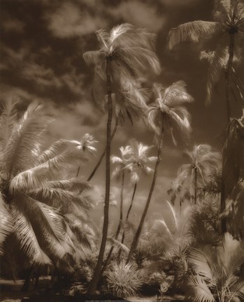 Framed Place Of Refuge II Print