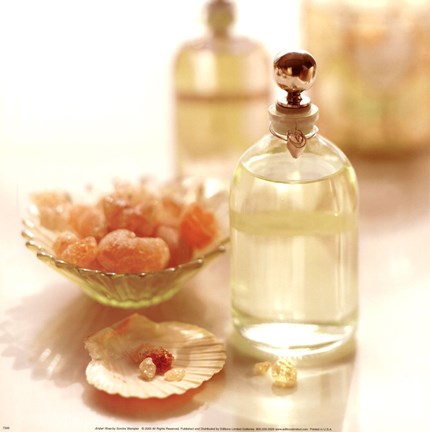 Framed Amber Rose Print