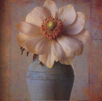 Framed Floral Study II Print