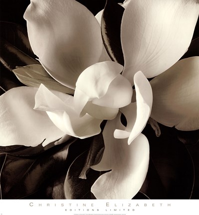 Framed Unfolding III Print