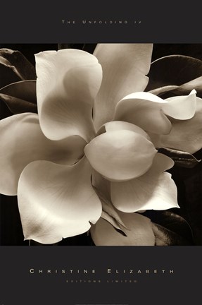 Framed Unfolding IV Print