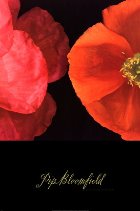 Framed Dual Poppy Left Print