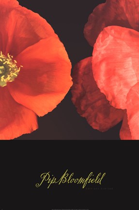 Framed Dual Poppy Right Print