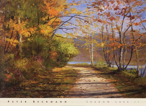 Framed Shadow Lake II Print