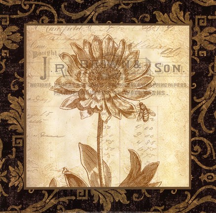 Framed Anemone Print