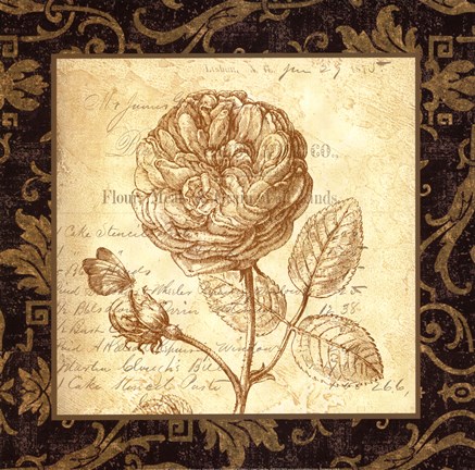 Framed Rose - with a border Print