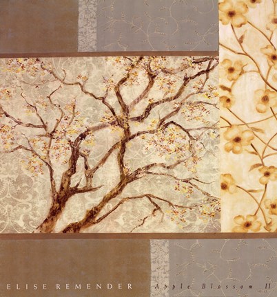 Framed Apple Blossom II Print