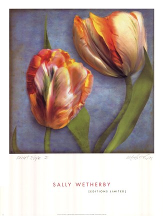 Framed Parrot Tulips I Print