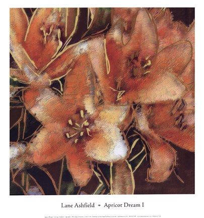 Framed Apricot Dreams I Print