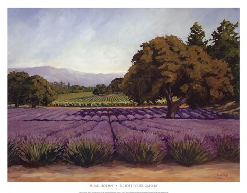 Framed Lavender Fields Print