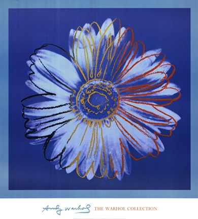 Framed Daisy, c. 1982 (blue on blue) Print