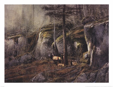 Framed In The Shadows Print