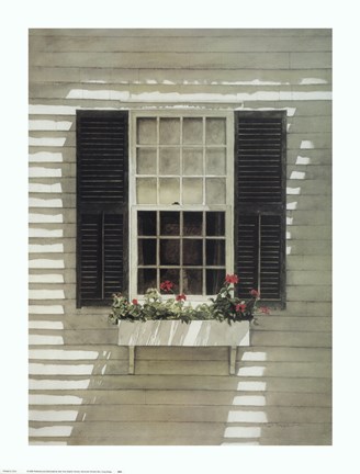 Framed Nantucket Window Box Print