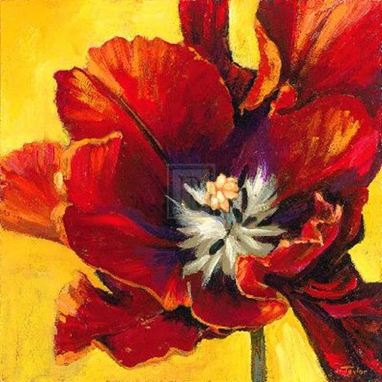 Framed Tiare II Print