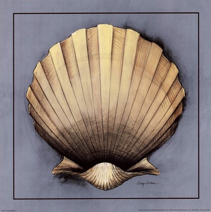 Framed Coastal Shell II Print